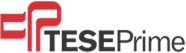 Tese Prime